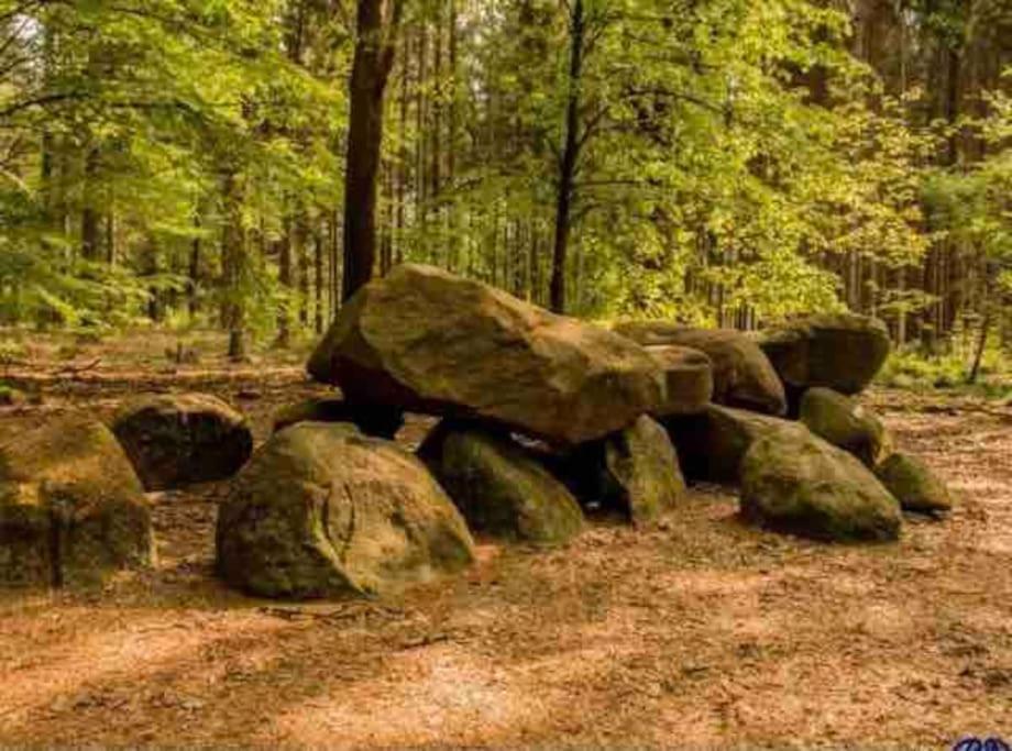 Chalet Midden In De Natuur! Anloo Exteriér fotografie